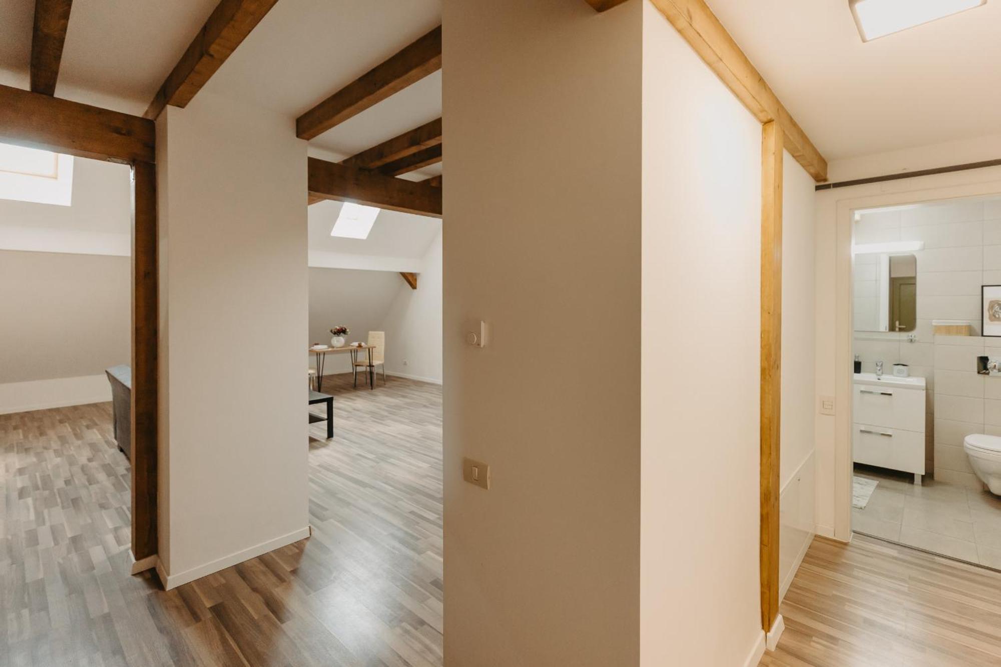 Appartement Holiday Central Timişoara